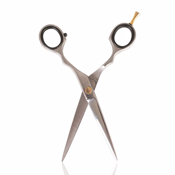 Salon Services S1 Scissors 6 Inch